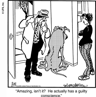 marmaduke